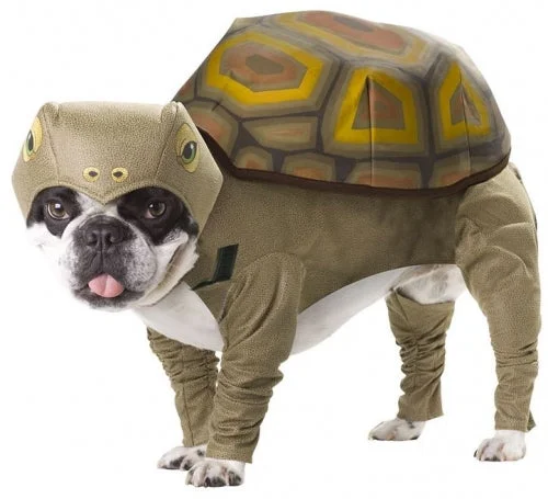 2osu1q0eubc