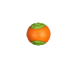 2xyzv0rncjr