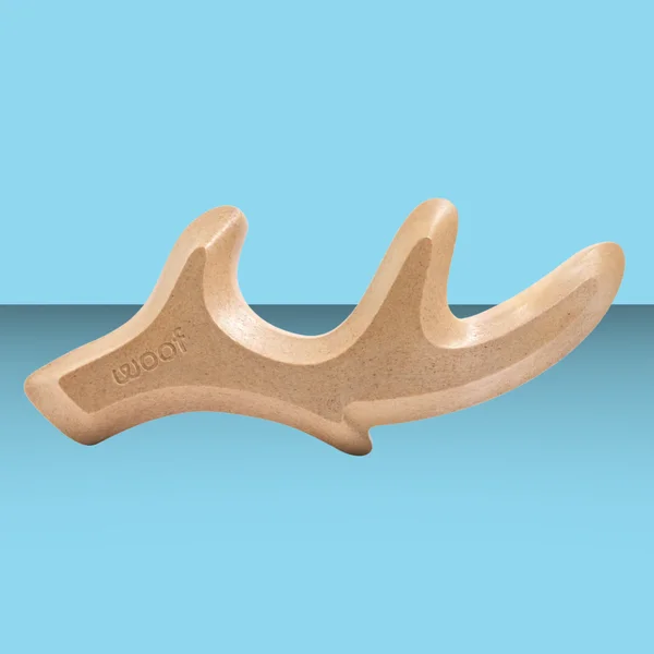 4oqivsimg51