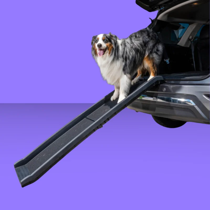 5dqmi1xupj3