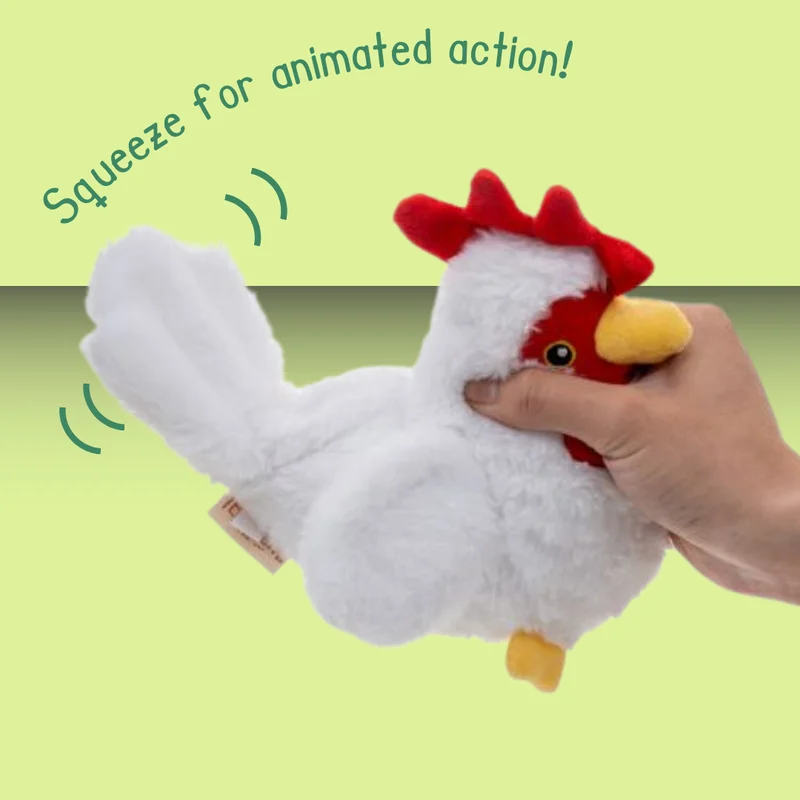 a00npz5oorx