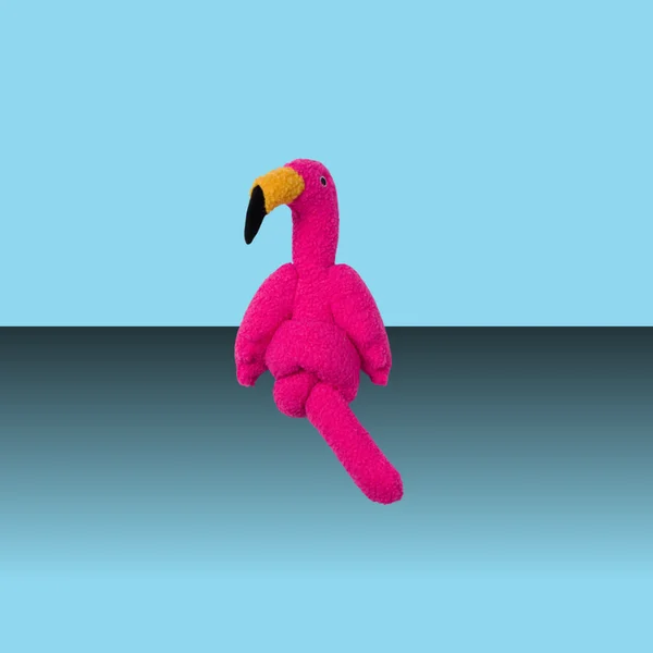 biv1acgm3sy