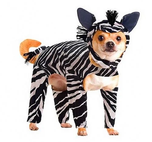 bvvdksyw30j