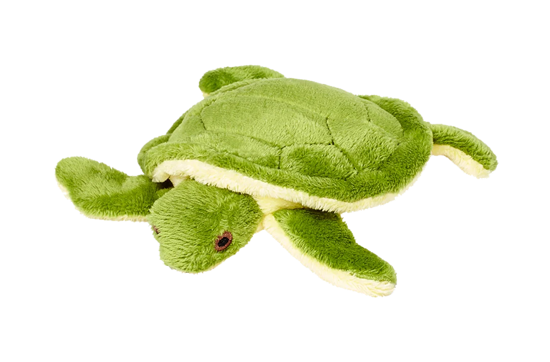 cr55o2n33nc
