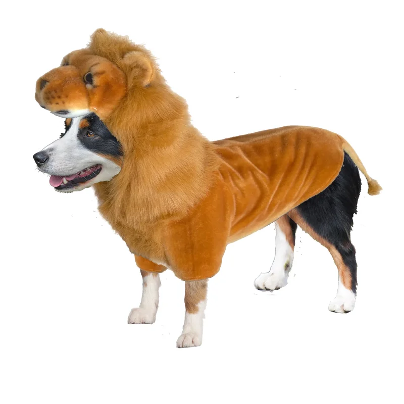 dkgkconerp0