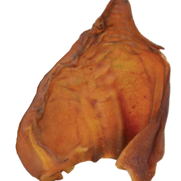 evyxujzogjb