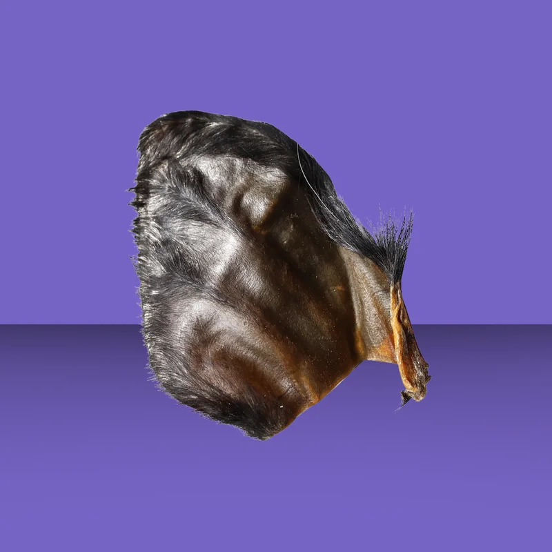 otxwgybqtok