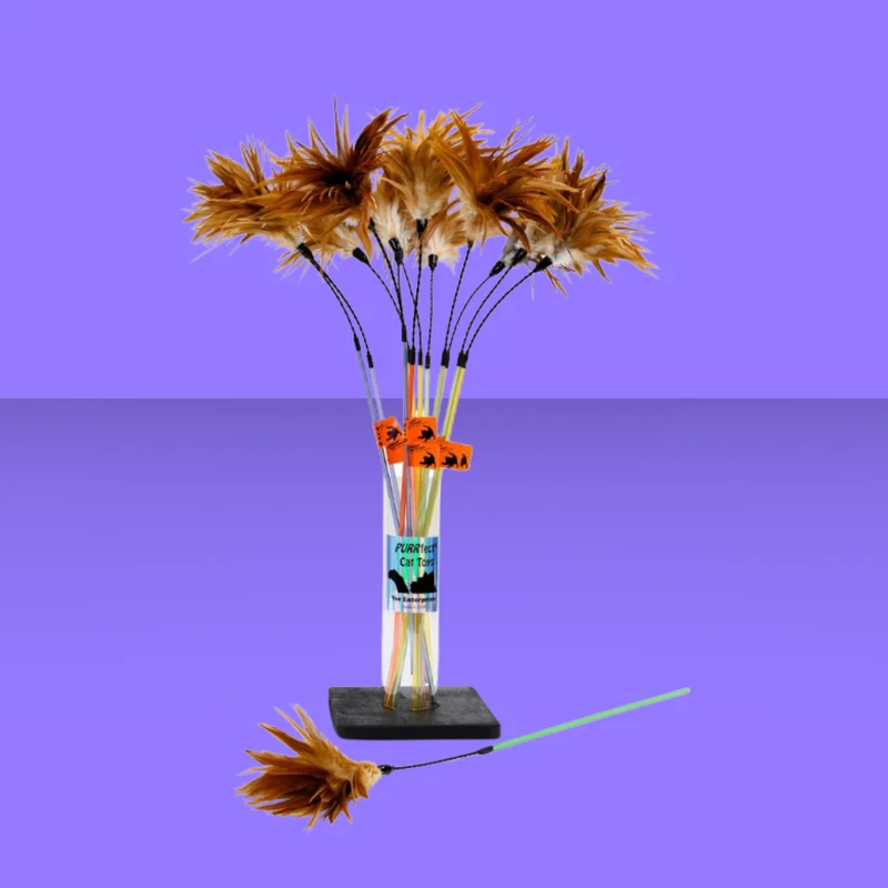 qrtfbfxp5cd