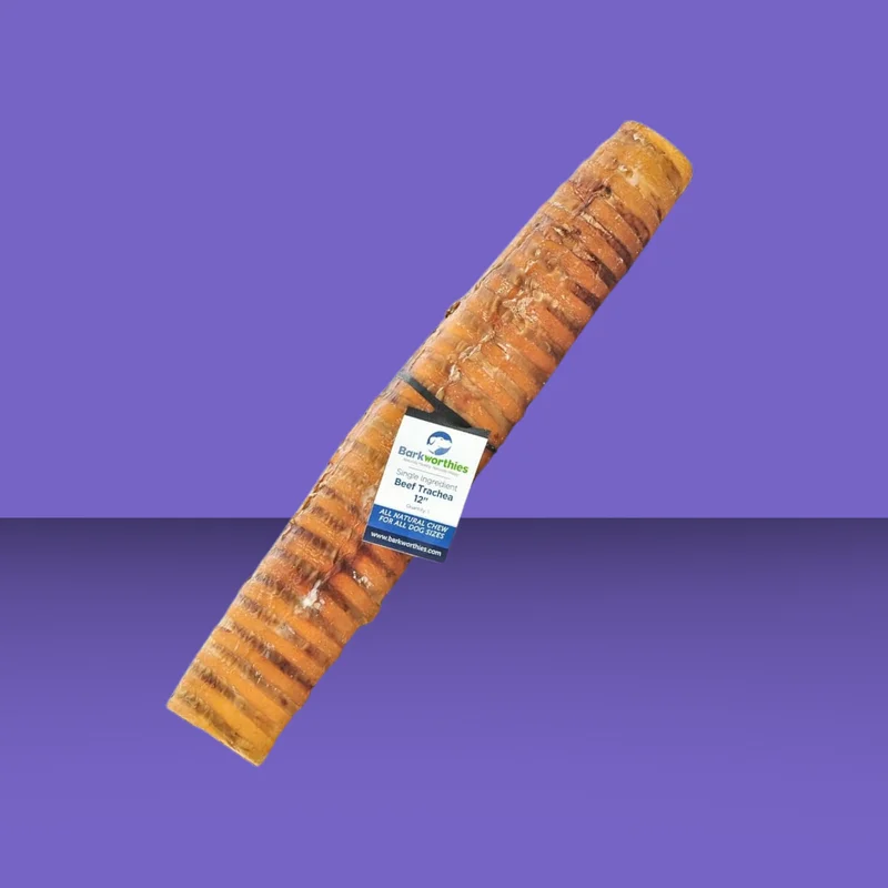 rrsfjx2ufgp