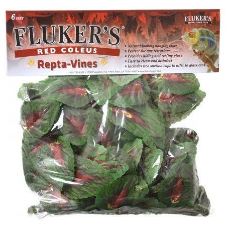 slkqfbvikk2