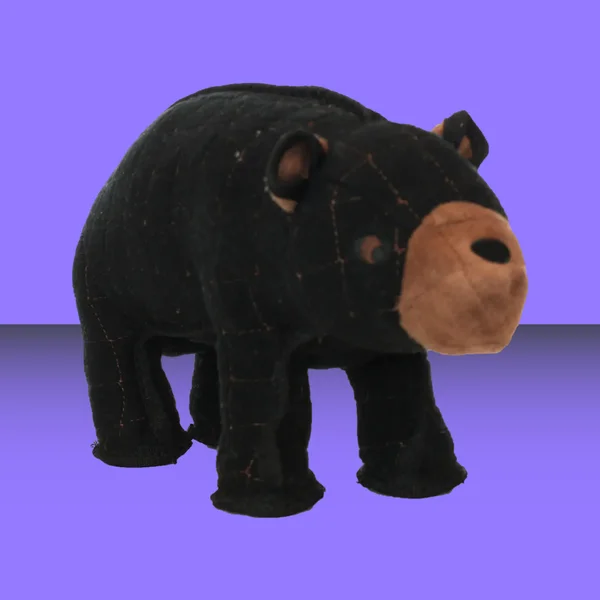 spsnjmmmc3n