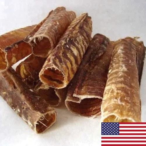 tpadywq1ia1