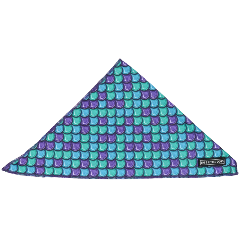 yarcylzootn