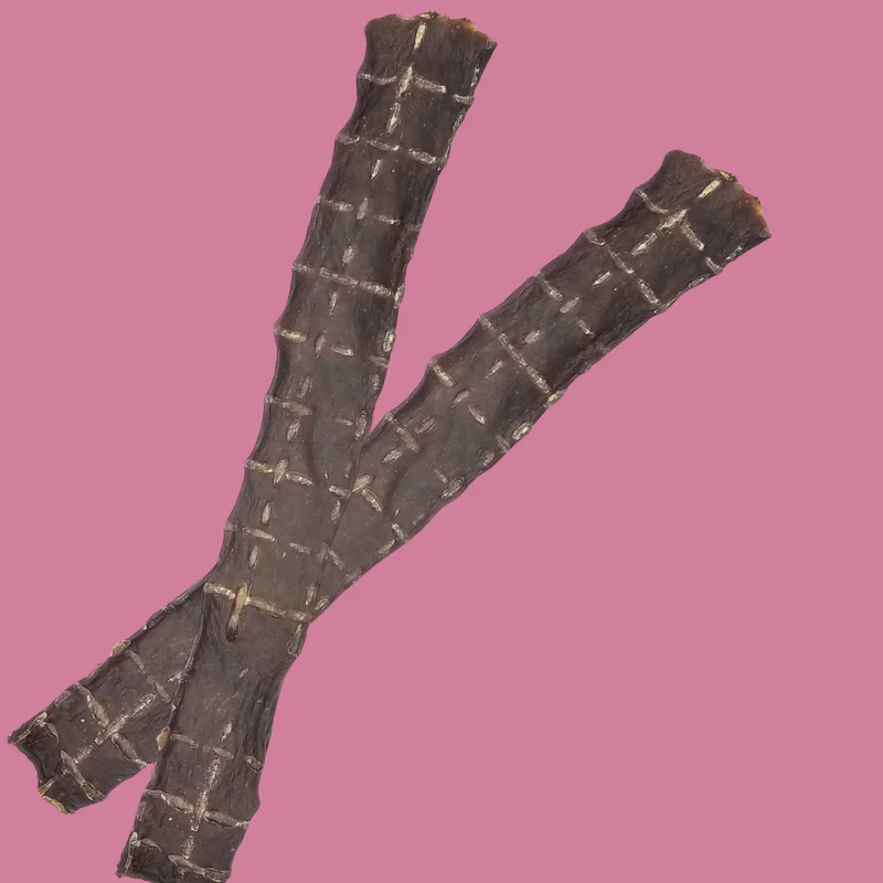zxoa532kzvp
